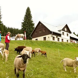 rezervovat zde